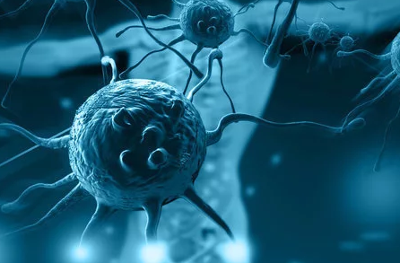 NK细胞疗法治疗肺癌的效果如何？
