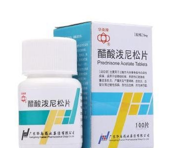 治疗急性淋巴白血病的醋酸泼尼松片的药物相互作用和药理作用是什么?