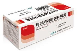 治疗急性非淋巴细胞白血病的注射用盐酸伊达比星有哪些不良反应?